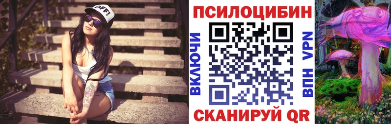 Галлюциногенные грибы Psilocybe  где купить   kraken онион  Заполярный 